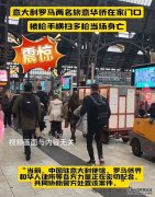 旅意华侨华人生存与创业环境的挑战与思考